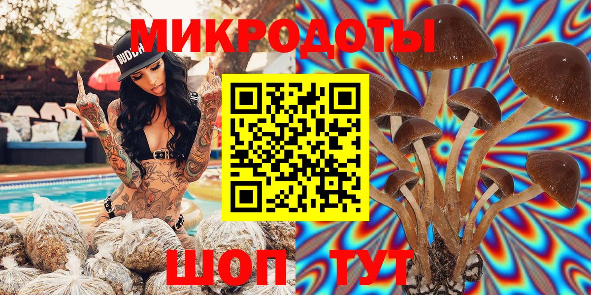 Псилоцибиновые грибы Psilocybe Екатеринбург